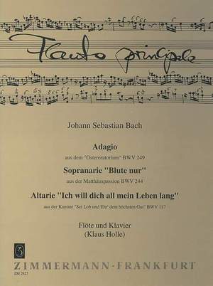 Johann Sebastian Bach: Adagio aus dem Osteroratorium BWV 249