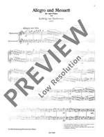 Ludwig van Beethoven: Allegro And Menuet Product Image