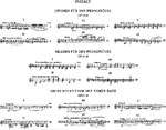 Schumann, R: Works for Organ or Pedal Piano Product Image