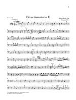 Haydn, J: Divertimenti for Piano (Cembalo), 2 Violins and Violoncello Product Image