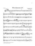Haydn, J: Divertimenti for Piano (Cembalo), 2 Violins and Violoncello Product Image