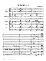 Franz Joseph Haydn: Sinfonien 1773 1774 Edizione Rilegata In Tela Product Image