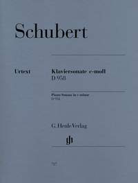 Schubert: Piano Sonata c minor D 958