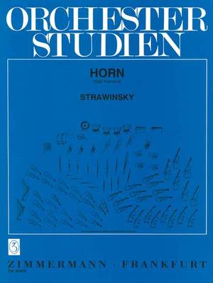 Orchesterstudien Horn