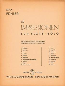 Fuehler, M: 20 Impressionen