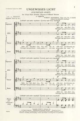 Robert Schumann: Ungewisses Licht Op.141 No.2