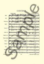 Christian Sinding: Violin Concerto Op. 45 Product Image
