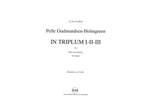 Pelle Gudmundsen-Holmgreen: In Triplum I-II-III Product Image