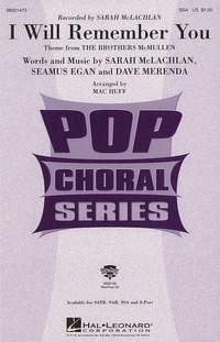 Dave Merenda_Sarah McLachlan_Seamus Egan: I Will Remember You