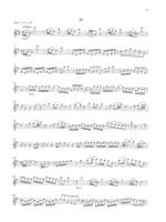 Antonio Vivaldi: 3 Concerti for Flute & Orchestra Product Image