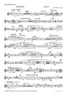 Carl Nielsen: Sleep