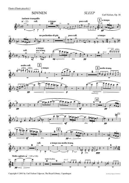 Carl Nielsen: Sleep