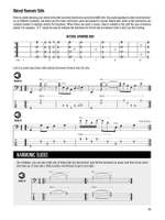 Fretless Bass Product Image