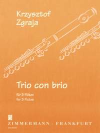Krysztof Zgraja: Trio con brio