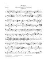 Beethoven, L v: Sonatas for Piano and Violoncello Product Image
