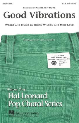 Brian Wilson_Mike Love: Good Vibrations