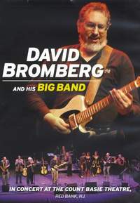 David Bromberg And His Big Band In Concert