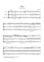 Ludwig van Beethoven: Trio In C Op.87/Variations In C WoO 28 Product Image