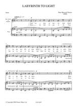 Peter Maxwell Davies: Labyrinth To Light Product Image