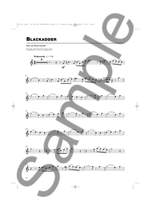 You Take Centre Stage: Flute Playalong TV Themes Product Image