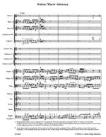 Haydn, FJ: Stabat Mater (Hob.XXbis) (Urtext) (L) Product Image