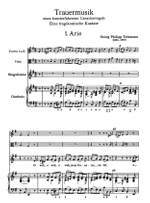 Telemann, G: Canary Cantata (G) Product Image
