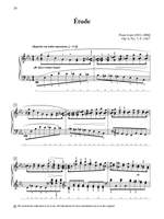 Franz Liszt: 21 Selected Piano Works Product Image