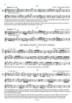 Nesztor, Ivan: Folk Music for Shepherd's Flute/CD Product Image