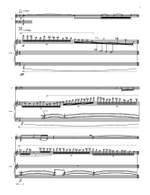 Wallfisch, Benjamin: Rhapsody Product Image
