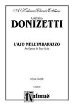 Gaetano Donizetti: L'Ajo Nell'Imbarrazzo Product Image