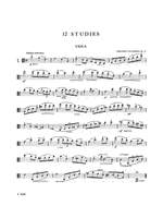 Johannes Palaschko: Twelve Studies, Op. 55 Product Image