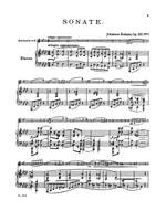 Johannes Brahms: Two Sonatas, Op. 120 Product Image