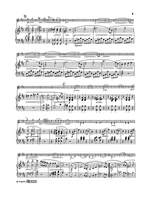 Franz Schubert: Three Sonatas, Op. 137 Product Image