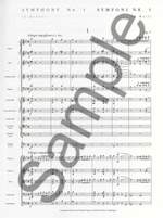 Carl Nielsen: Symphony No.1 Op.7 Product Image