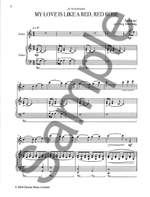 The Violin: A Collection Product Image