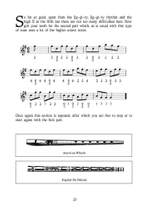 The Tin Whistle Book Product Image