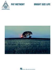 Pat Metheny - Bright Size Life