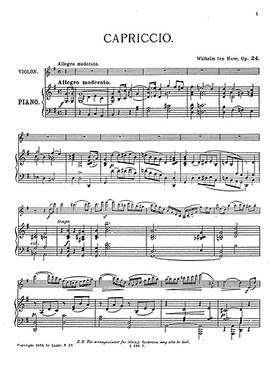 Willem Ten Have: Capriccio Op.24