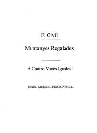 Civil: Muntanyes Regaladas 4 V.I