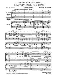 N. Hancock: A Lovely Rose Is Sprung