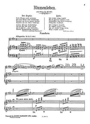 Jeno Hubay: Der Zephyr Op.30 No.5
