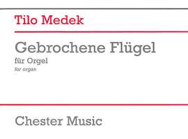Tilo Medek: Gebrochene Flügel
