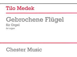 Tilo Medek: Gebrochene Flügel