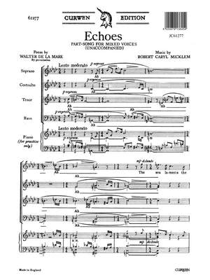 Micklem: Echoes
