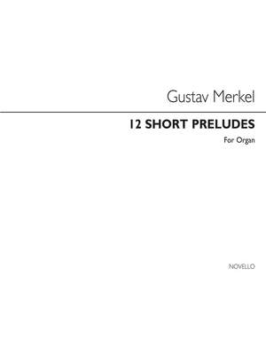 Gustav Adolf Merkel: Twelve Short Preludes Op.156