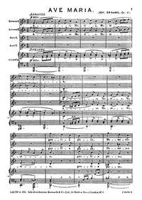 Johannes Brahms: Ave Maria Op.12