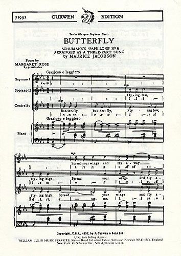 Butterfly