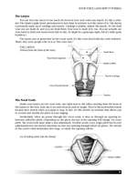 Dena Murray: Vocal Technique Product Image