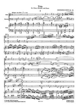 Christopher Brown: Trio Op.36a