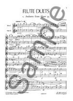 Trevor Wye: Flute Duets 2 Product Image